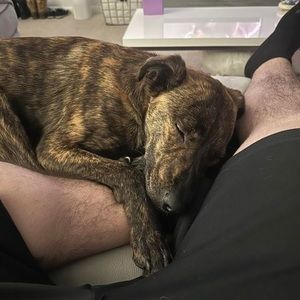 Meet your Posher, Kyle